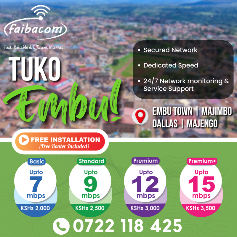Picture 3 of FaibaCom Embu