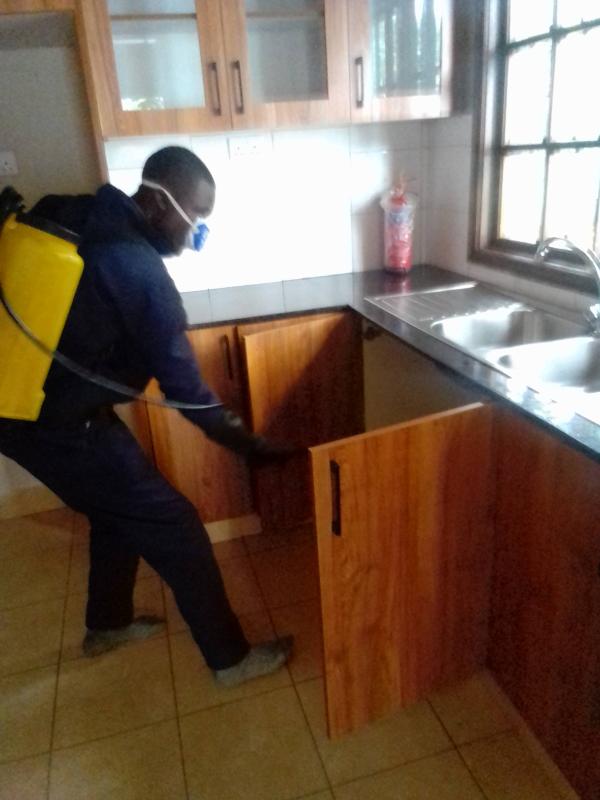 Picture 2 of Masterpiece Fumigation Services