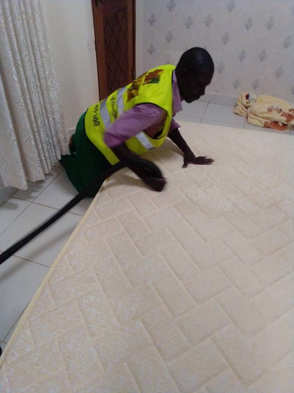 Picture 3 of Masterpiece Fumigation Services